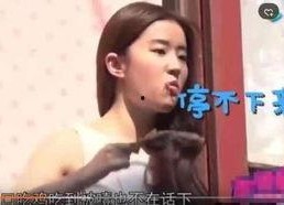 吃瓜娱乐圈合集视频,吃瓜视频大揭秘