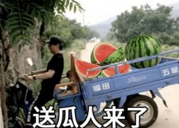 娱乐吃瓜文案啊怎么说的,吃瓜群众视角下的幕后故事