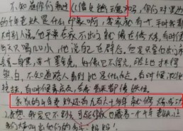 吃瓜比赛作文