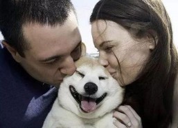 娱乐吃瓜酱最幸福的狗狗,揭秘最幸福的狗狗生活