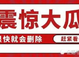 娱乐圈吃瓜八卦汇总,揭秘明星幕后故事与热点八卦