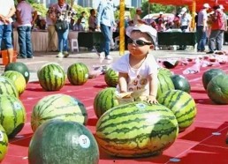 每日大赛吃瓜入口,吃瓜群众狂欢入口揭秘