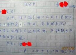 娱乐吃瓜酱检讨书,反思与成长之路