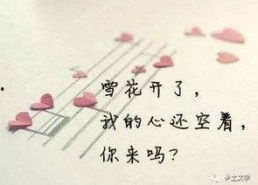 娱乐吃瓜酱伤感语录短句,娱乐吃瓜酱的内心独白