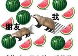 娱乐吃瓜君微博,带你一探究竟！”