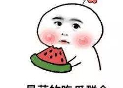 娱乐吃瓜蜀黍毛球,揭秘娱乐圈幕后故事