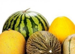 多多娱乐吃瓜,揭秘娱乐圈吃瓜背后的真相与笑料