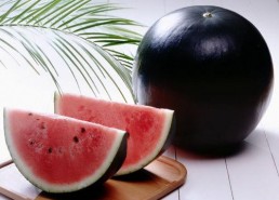 吃瓜网免费官网全球,全球热点一网打尽，畅享无界限的娱乐盛宴