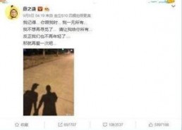 吃瓜娱乐大事件真相,真相背后的真相