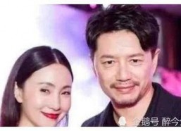 娱乐圈明星吃瓜合集,盘点那些年我们追过的热点事件