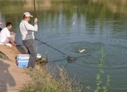 娱乐吃瓜钓鱼视频下载安装,娱乐吃瓜钓鱼视频，轻松安装体验新乐趣