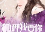 吃瓜娱乐圈狐狸是谁啊小说