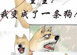 娱乐圈吃瓜小狗小说在线阅读