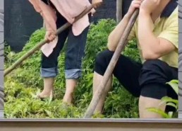 cos娱乐吃瓜群众一号