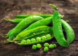 娱乐吃瓜又吃豆,吃瓜吃豆，揭秘娱乐圈幕后故事