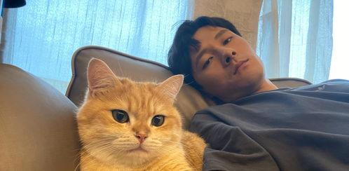 娱乐吃瓜君和罗小猫,揭秘娱乐圈背后的趣味故事