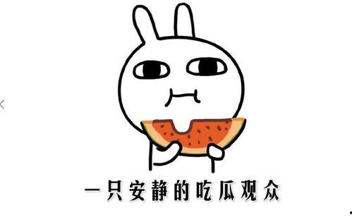 网络上的吃瓜是什么意思,“吃瓜”背后的真相与趣味